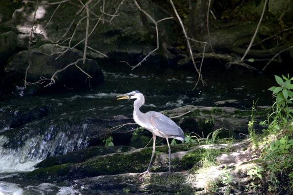 /Images/uploads/Harrybrooke Park/harrybrooke-park/entries/33750.jpg